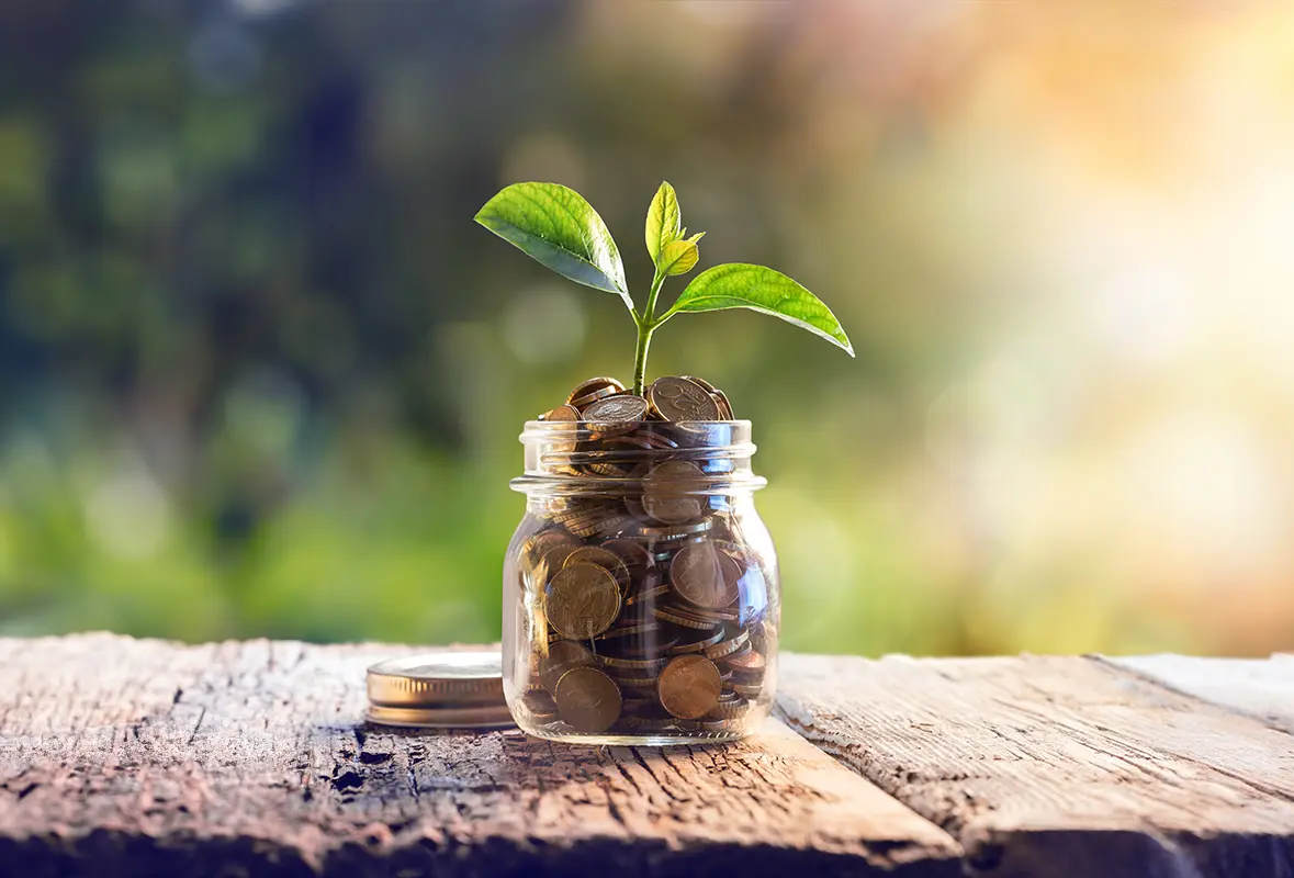 seedling in money growing from a a jar